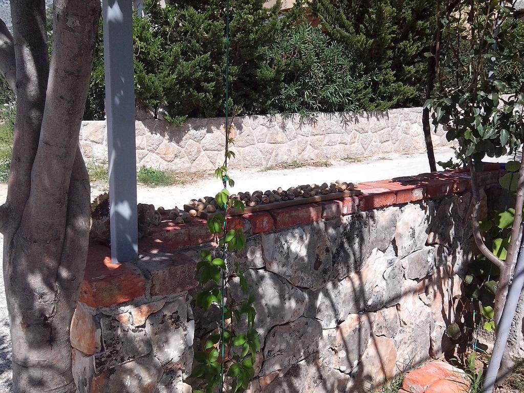 Apartman Lucija Seline Buitenkant foto